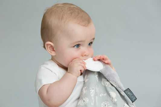 Best Infant Rattle Toys of 2024 | Choose the Best Rattle Toys